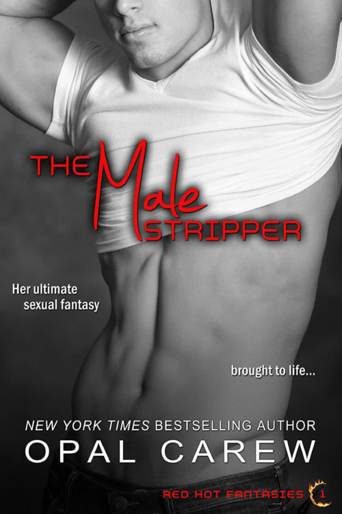 The Male Stripper Cover Art