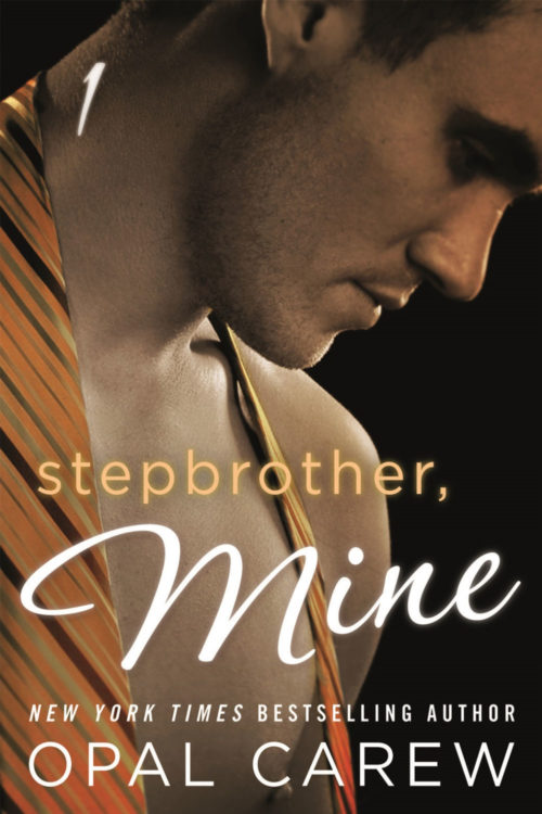 Stepbrother Mine: Part 1 Cover Art