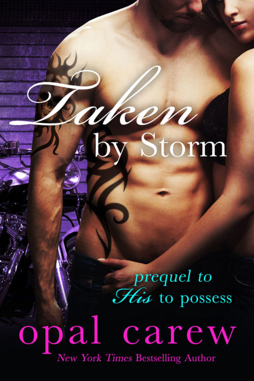 Taken By Storm Cover Art