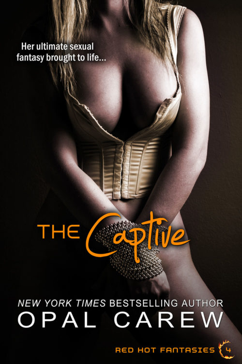 The Captive Cover Art