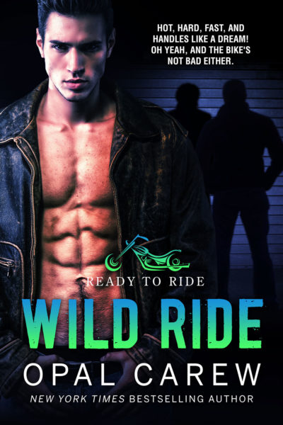 Wild Ride Cover Art